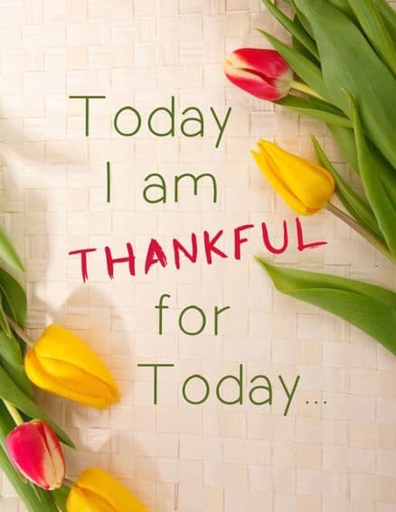 thankful-1081614_640
